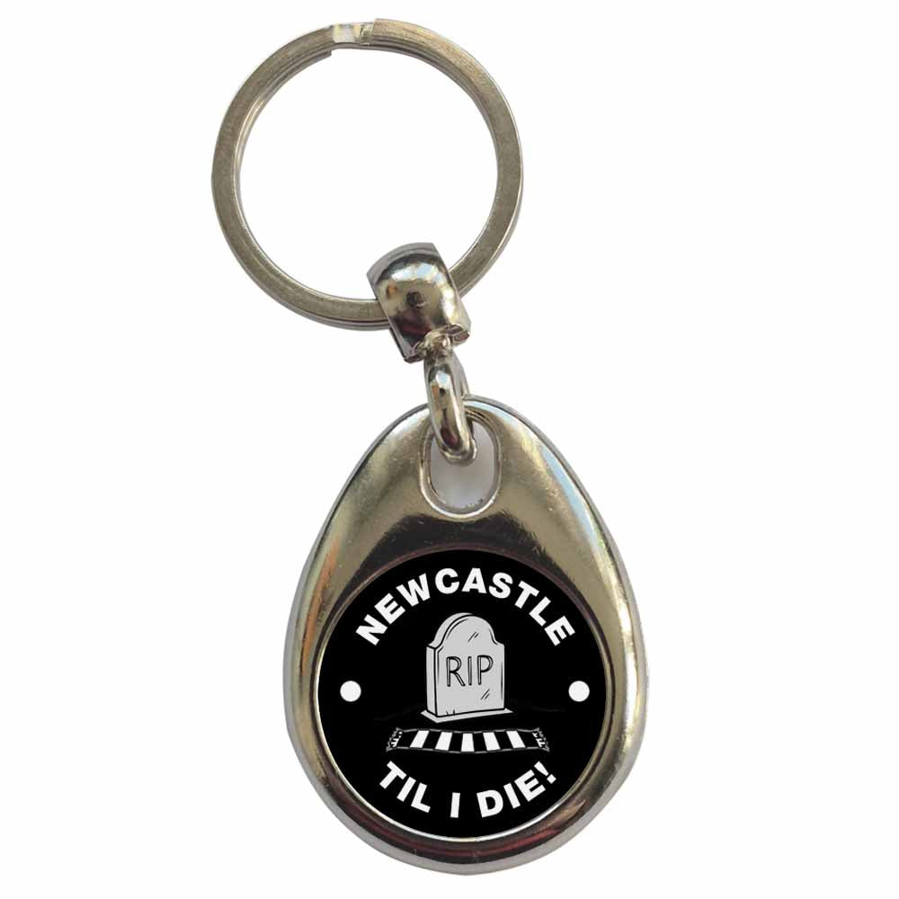 An image of a plain metal keyring