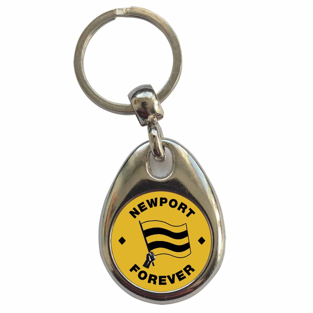 An image of a plain metal keyring