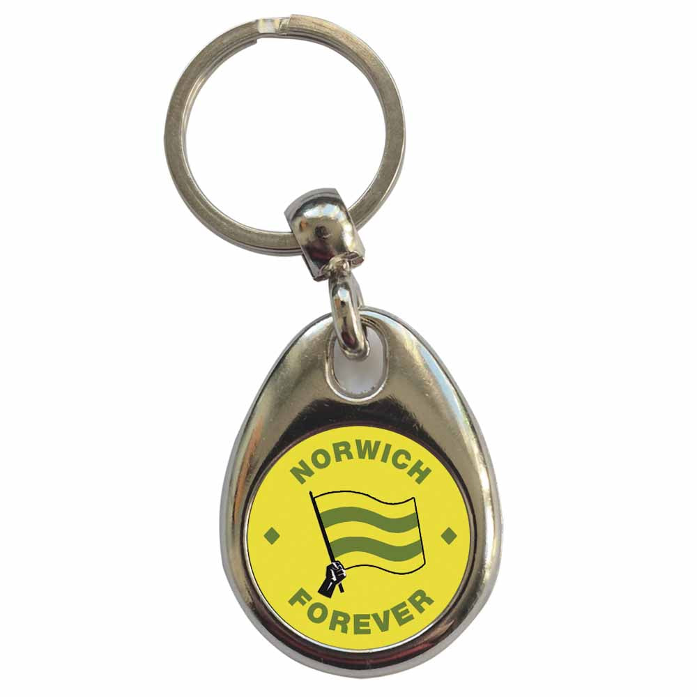 An image of a plain metal keyring