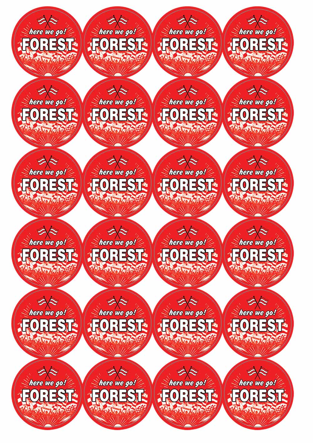 A picture of an A4 sheet of matte paper stickers