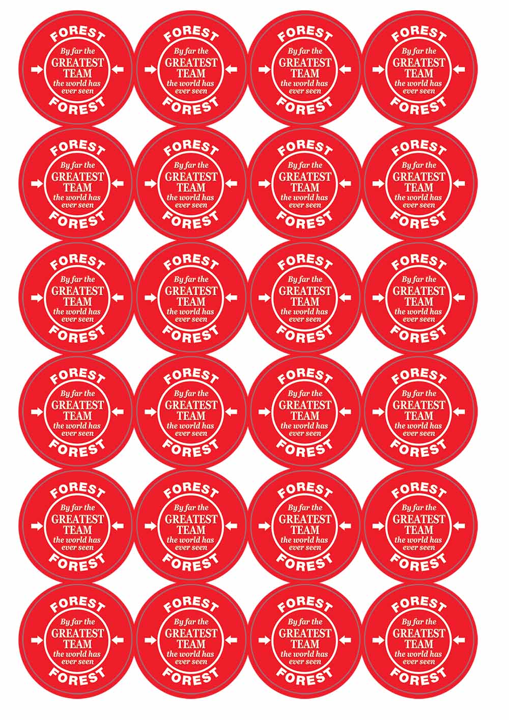 A picture of an A4 sheet of matte paper stickers
