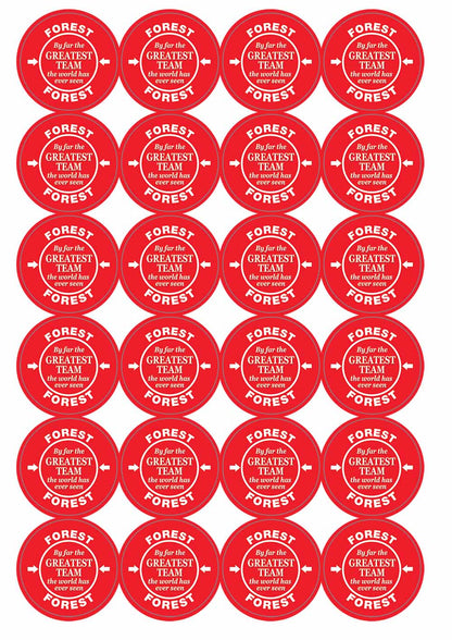 A picture of an A4 sheet of matte paper stickers