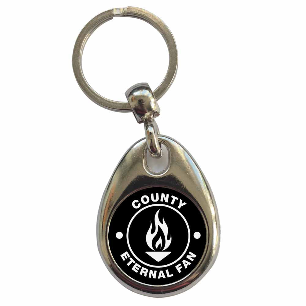 An image of a plain metal keyring