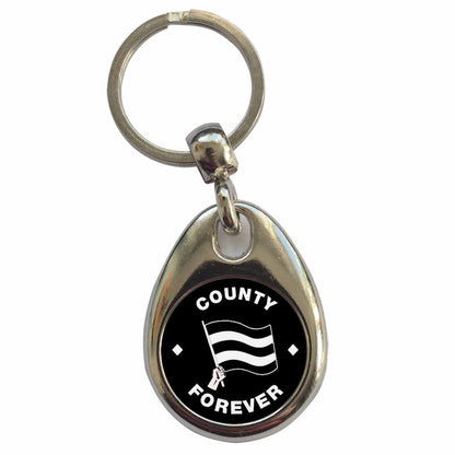 An image of a plain metal keyring