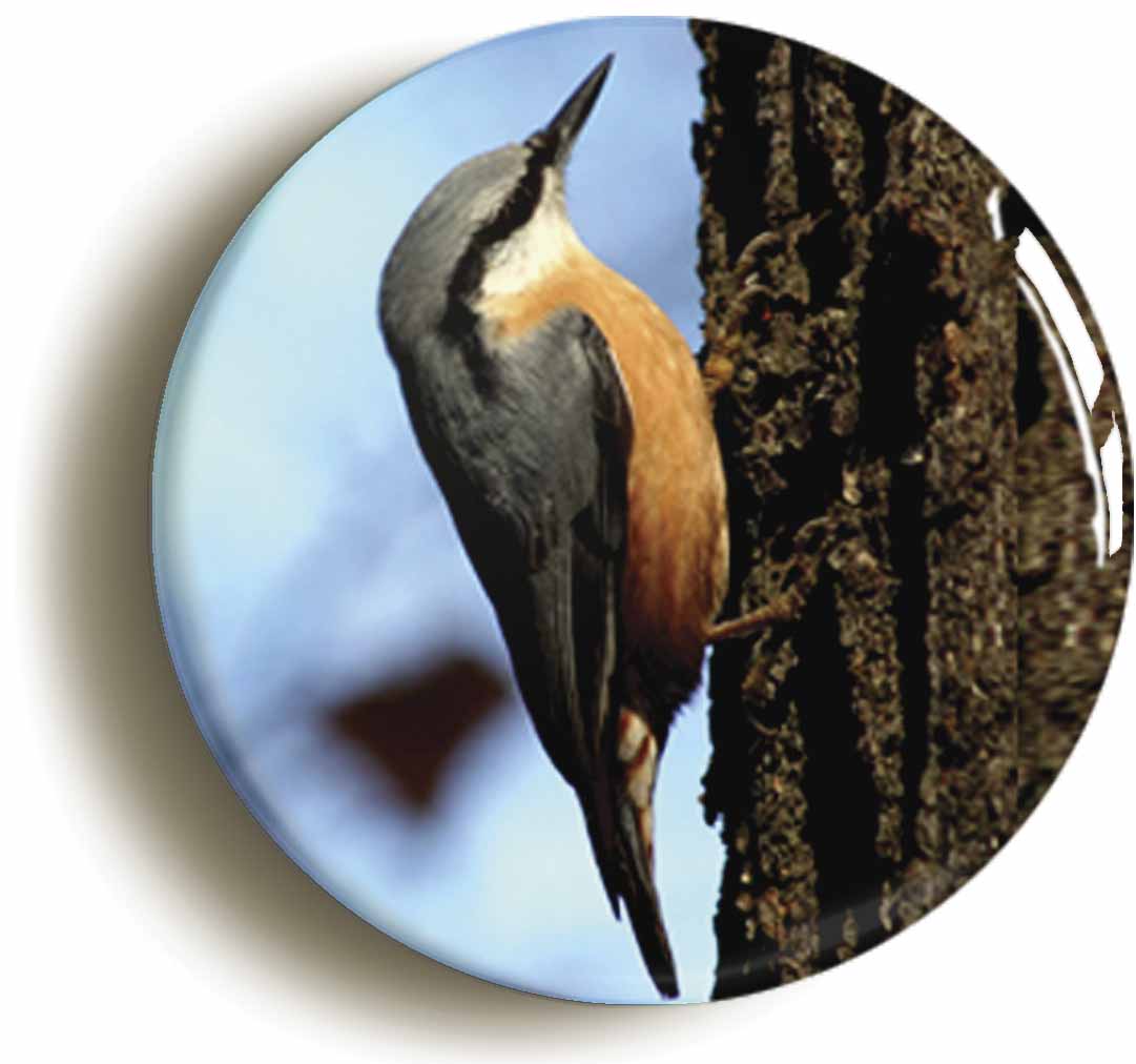 A picture of a button badge