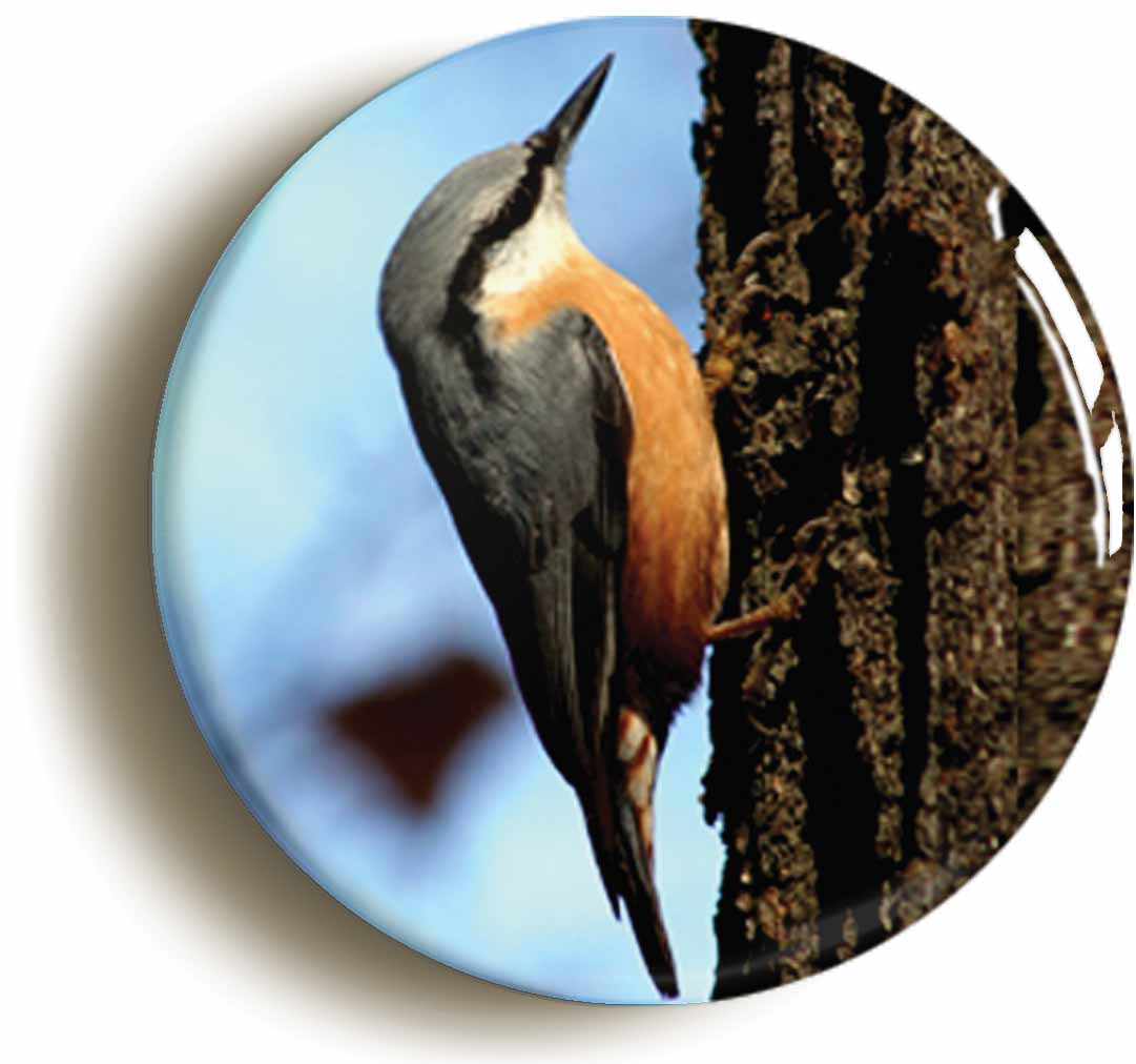 A picture of the front of the product, titled Nuthatch Circular 50mm Fridge Magnet