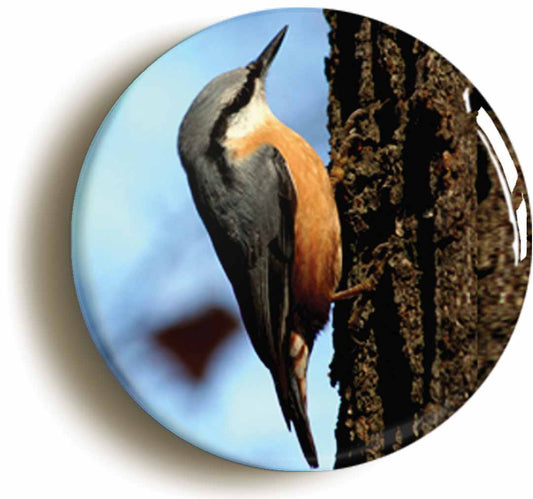A picture of the front of the product, titled Nuthatch Circular 50mm Fridge Magnet
