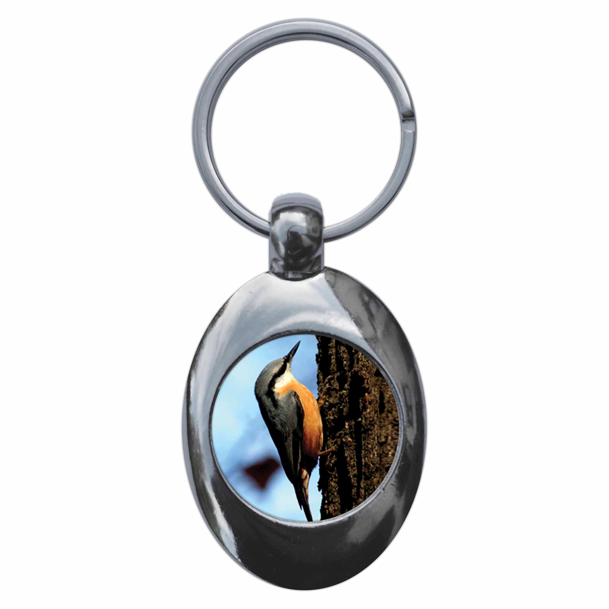 A picture of the front of the product, titled Nuthatch Metal Keyring With Trolley Coin