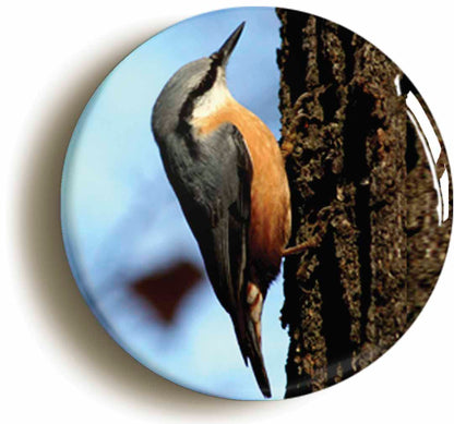 A picture of a fridge magnet