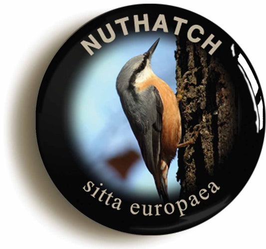 A picture of the front of the product, titled Nuthatch Sitta Europaea Bird Watching Button Pin Badge