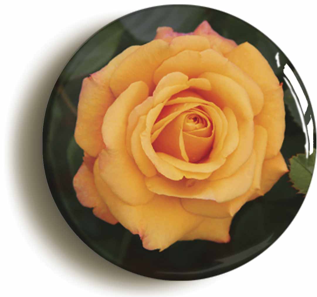 A picture of a button badge