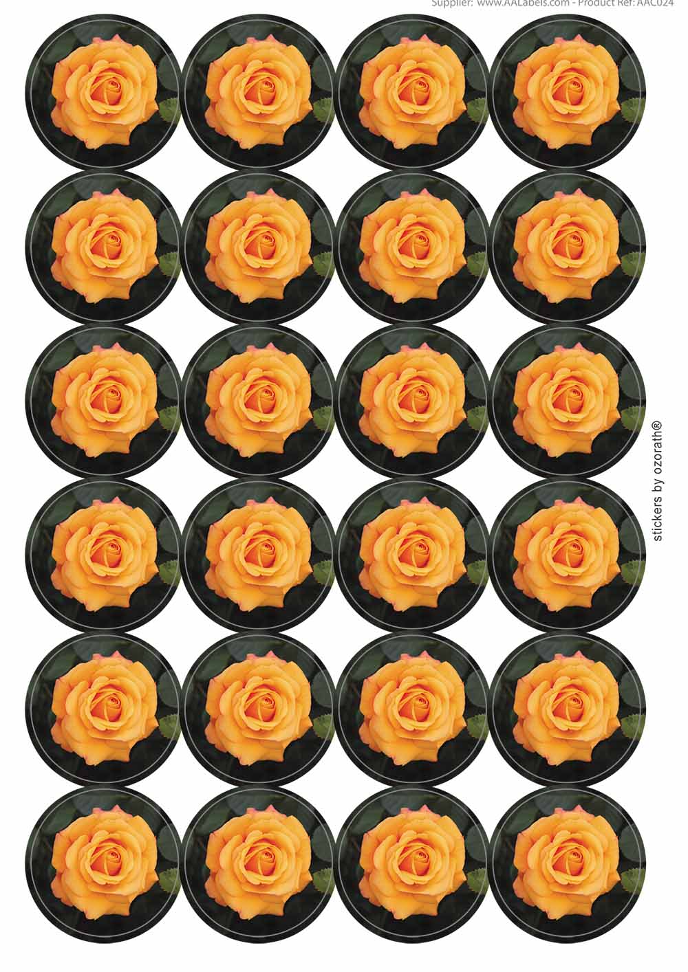 A picture of an A4 sheet of matte paper stickers