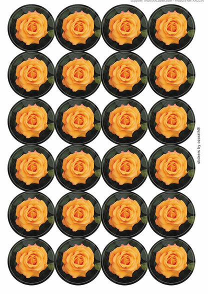 A picture of an A4 sheet of matte paper stickers