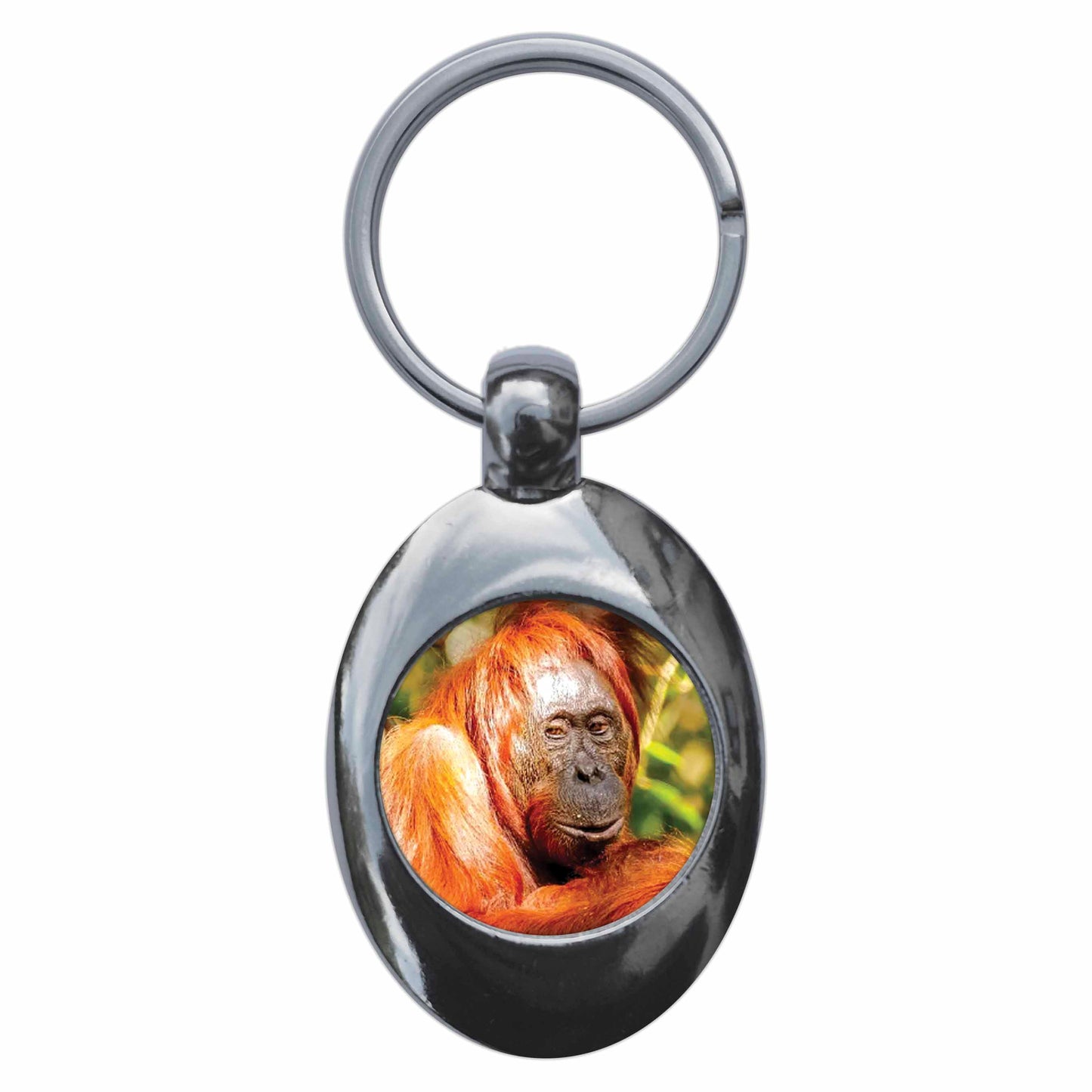An image of a keyring