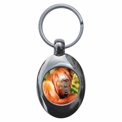 An image of a keyring
