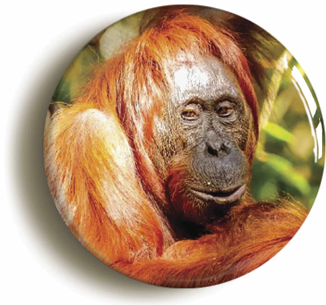 A picture of a button badge