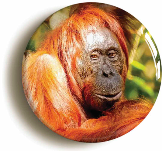 A picture of a fridge magnet