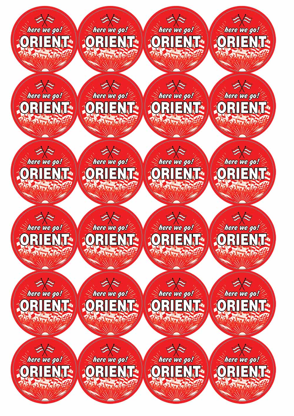 A picture of an A4 sheet of matte paper stickers