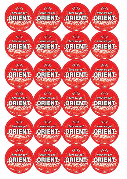 A picture of an A4 sheet of matte paper stickers