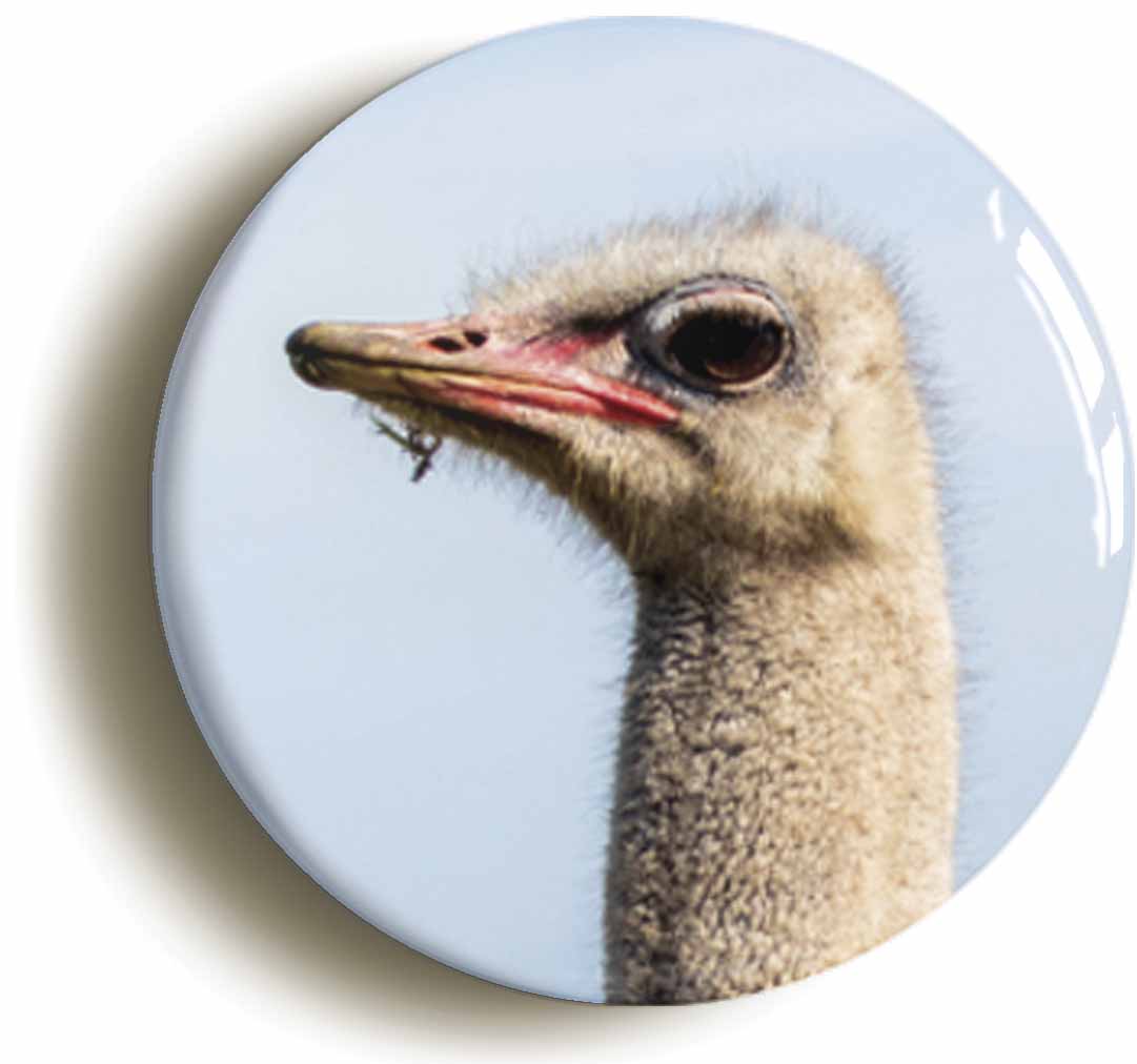 A picture of a button badge