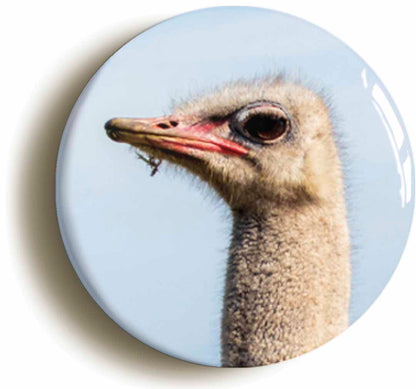 A picture of a fridge magnet