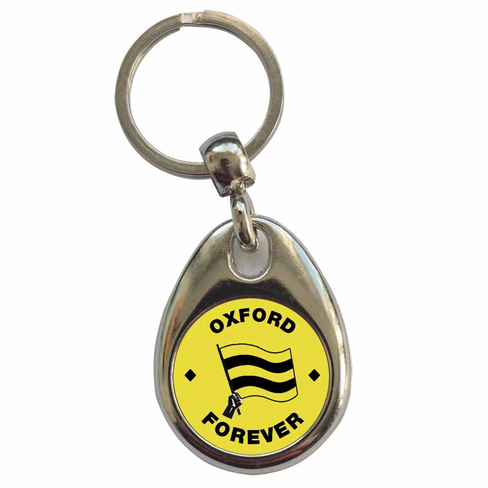 An image of a plain metal keyring