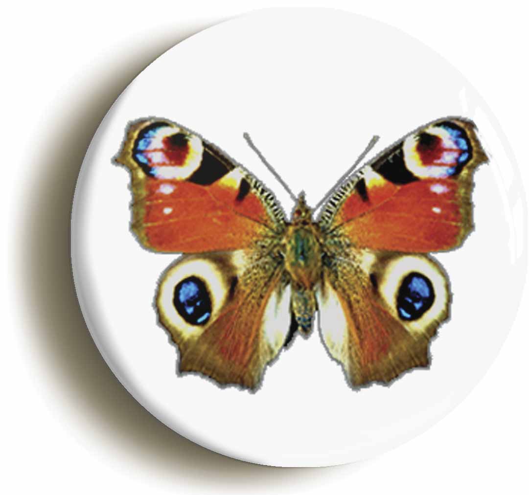 A picture of a fridge magnet