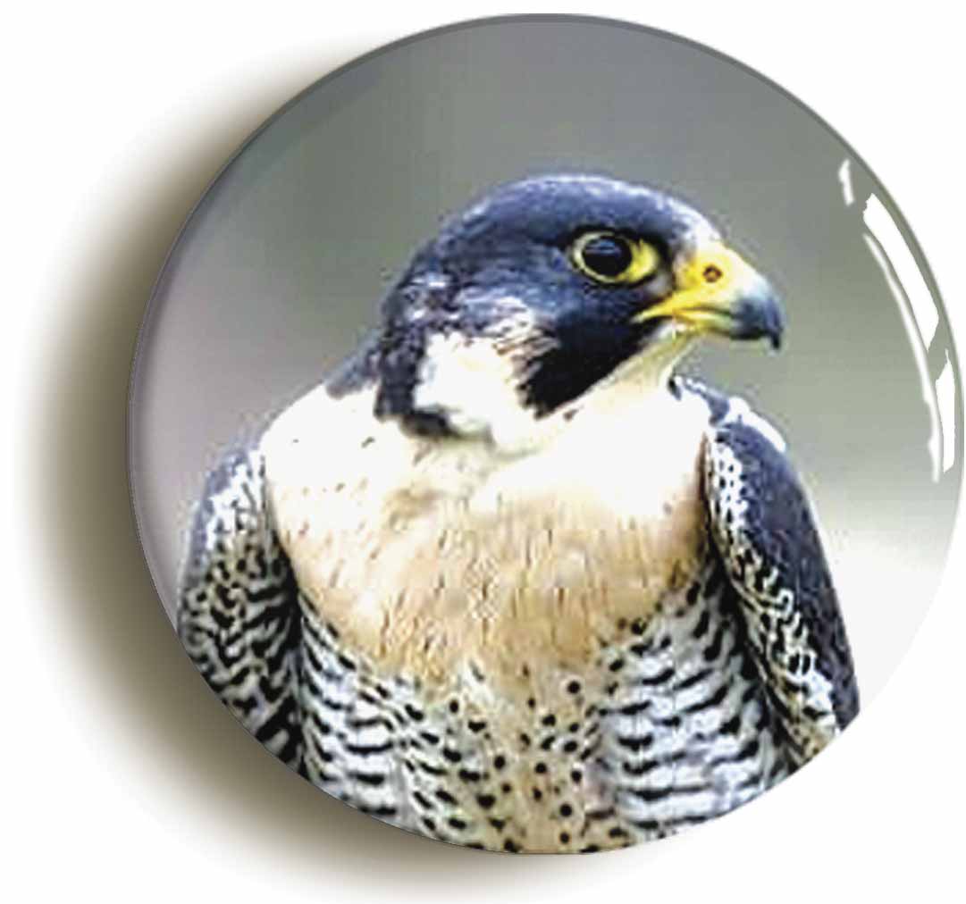 A picture of a fridge magnet