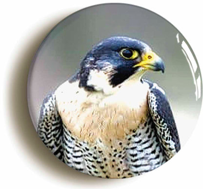 A picture of a fridge magnet
