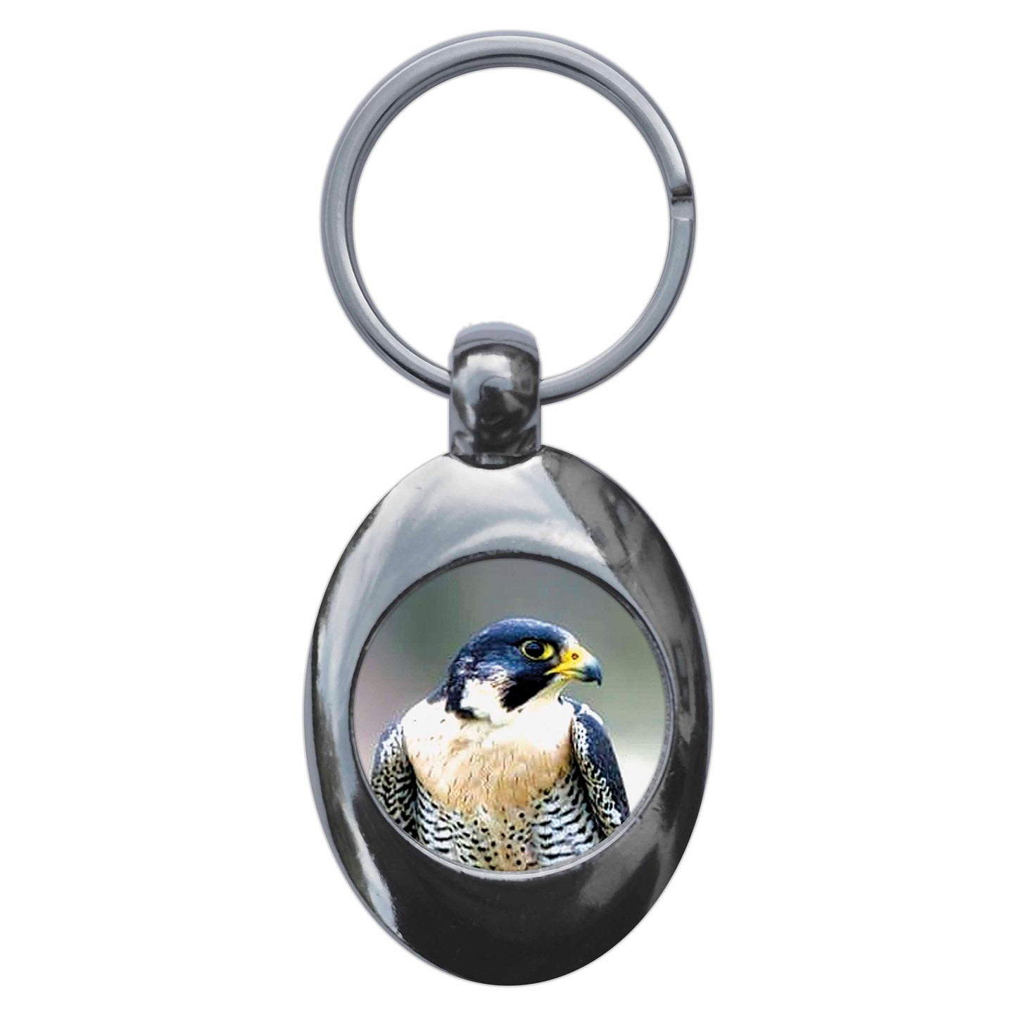A picture of the front of the product, titled Peregrine Falcon Metal Keyring With Trolley Coin