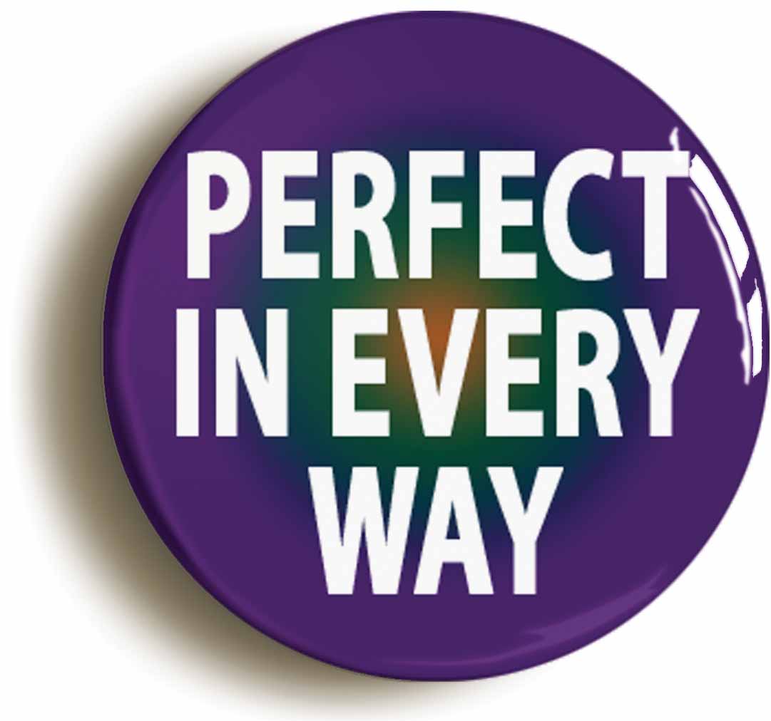 A picture of the front of the product, titled Perfect In Every Way Funny Button Pin Badge