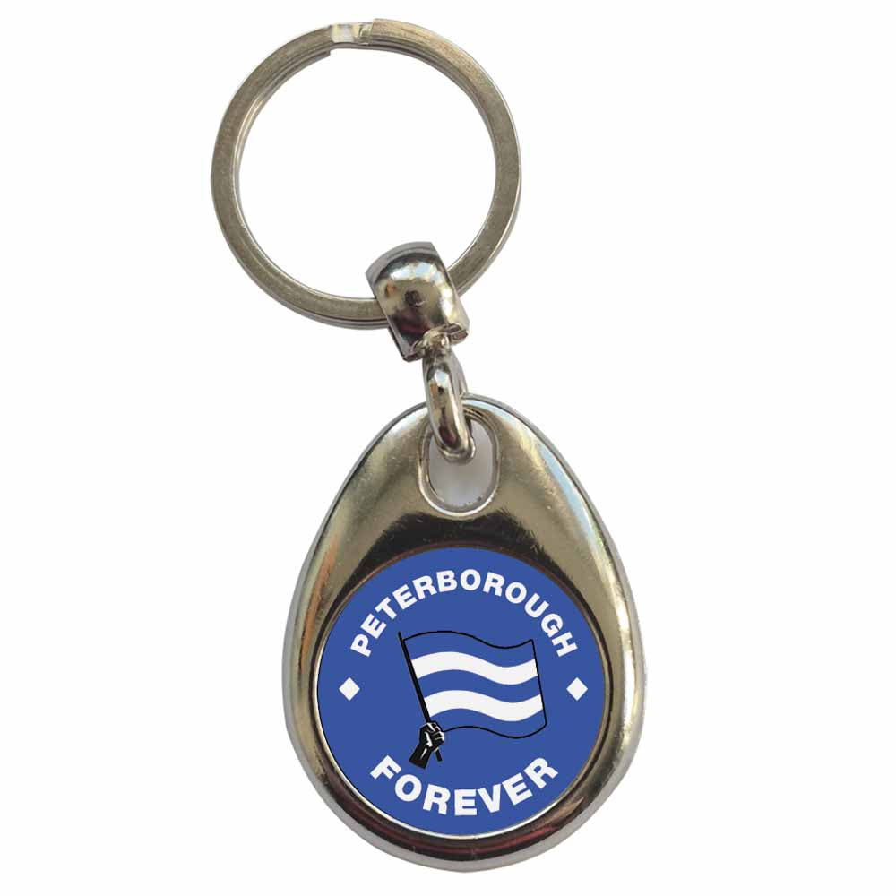 An image of a plain metal keyring