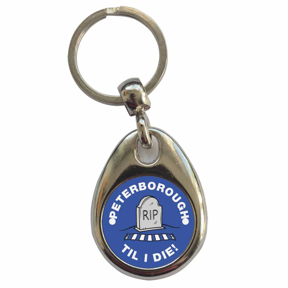 An image of a plain metal keyring