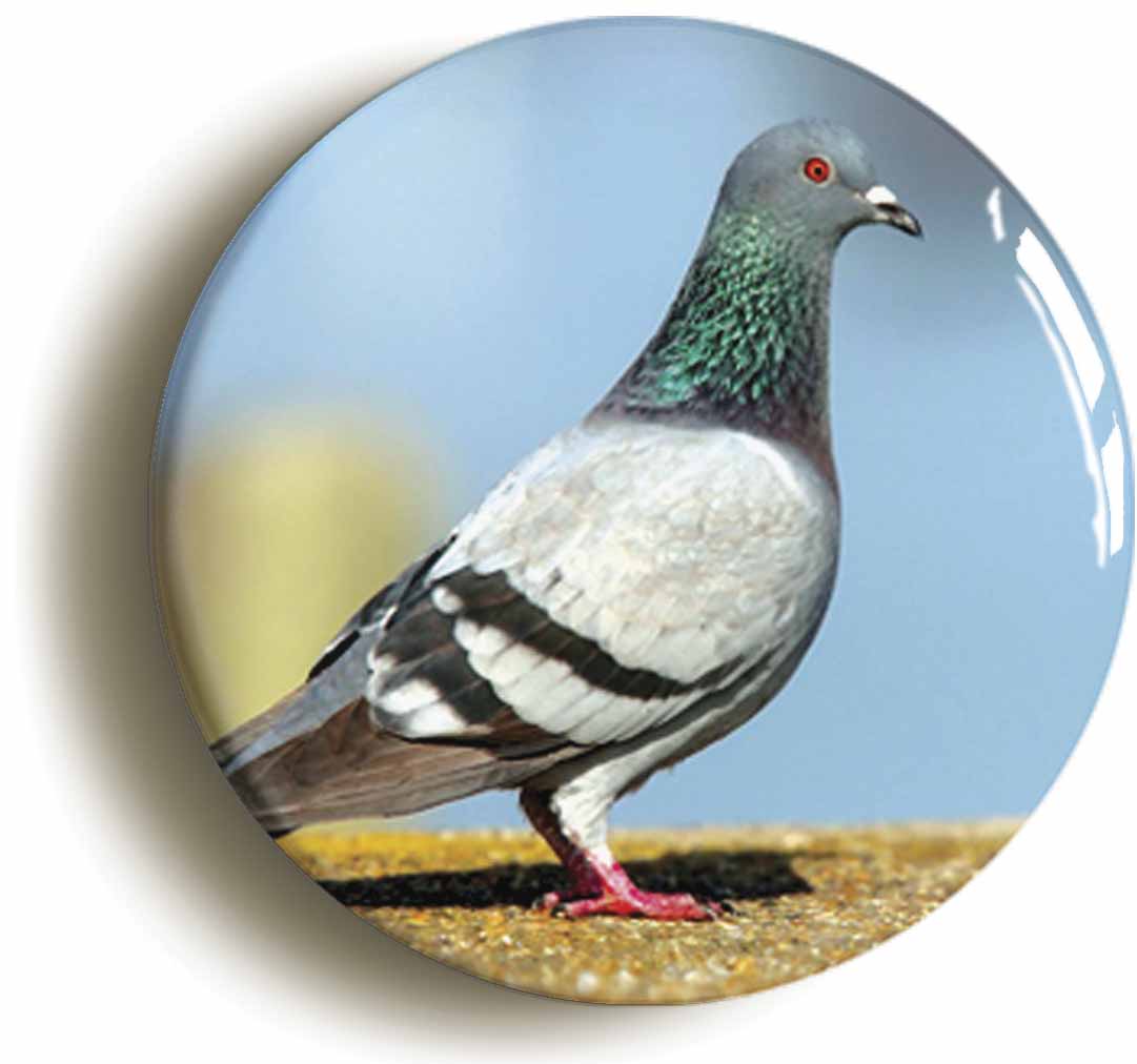 A picture of a button badge