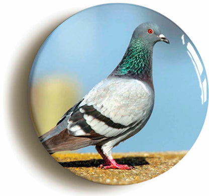 A picture of a button badge
