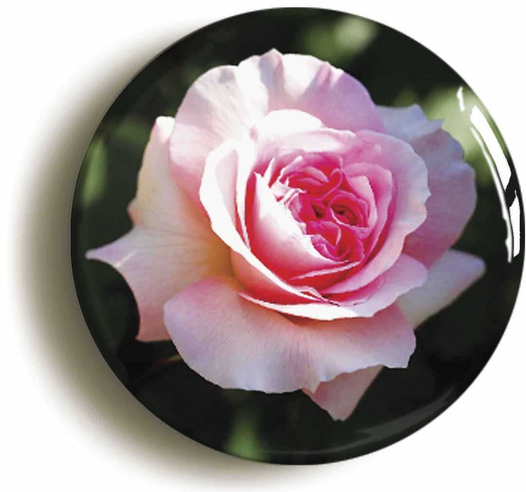 A picture of a button badge