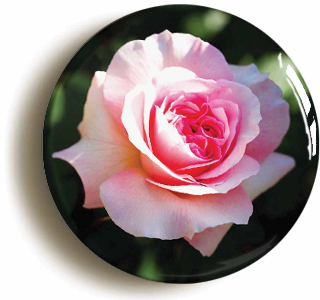 A picture of the front of the product, titled Pink Rose Flower Button Pin Badge