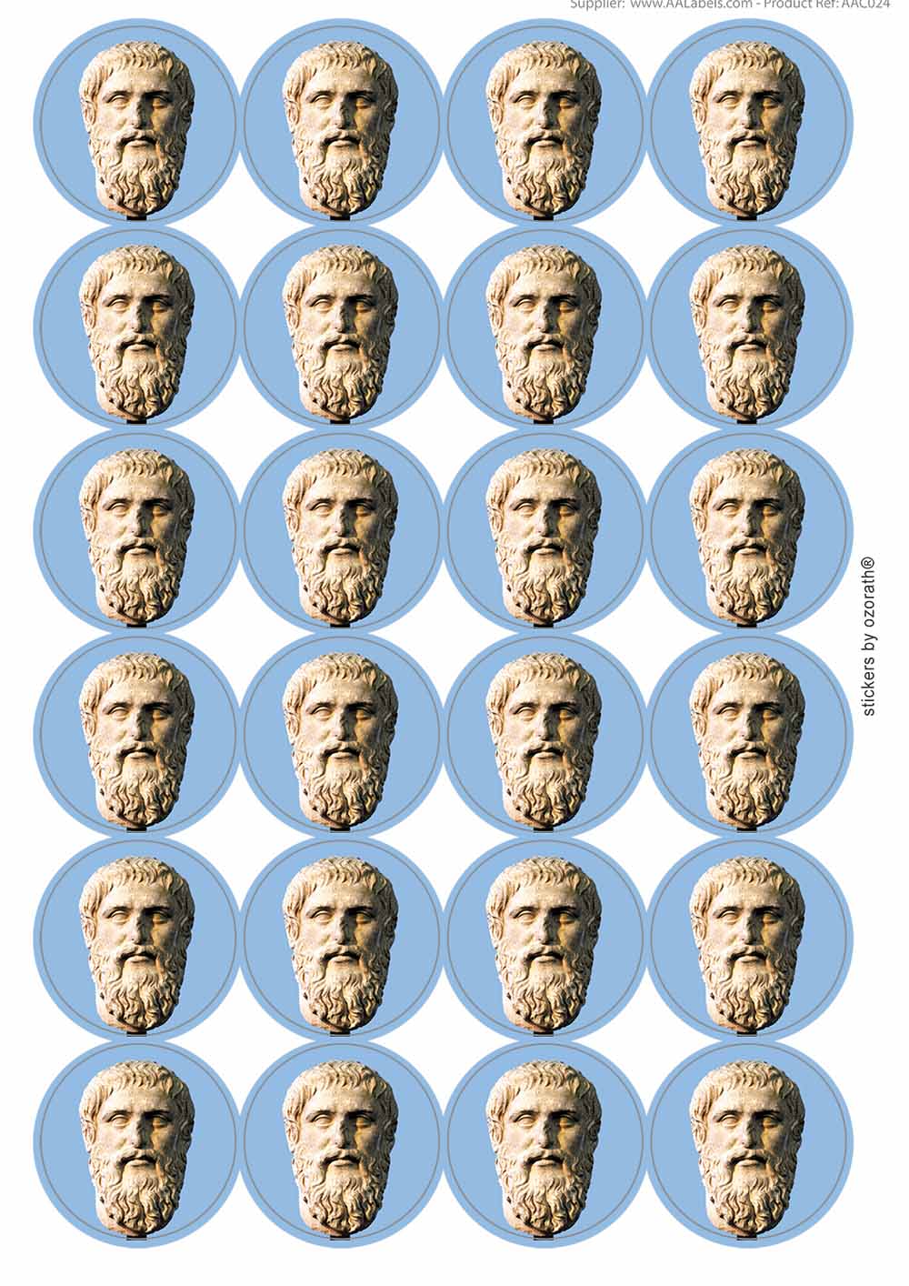 A picture of an A4 sheet of matte paper stickers