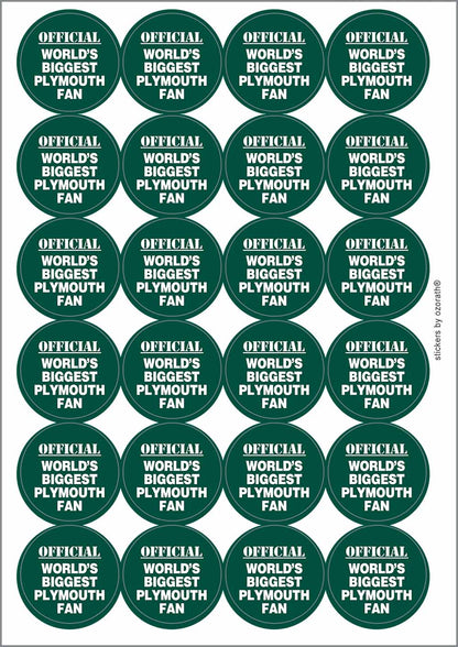 A picture of an A4 sheet of matte paper stickers