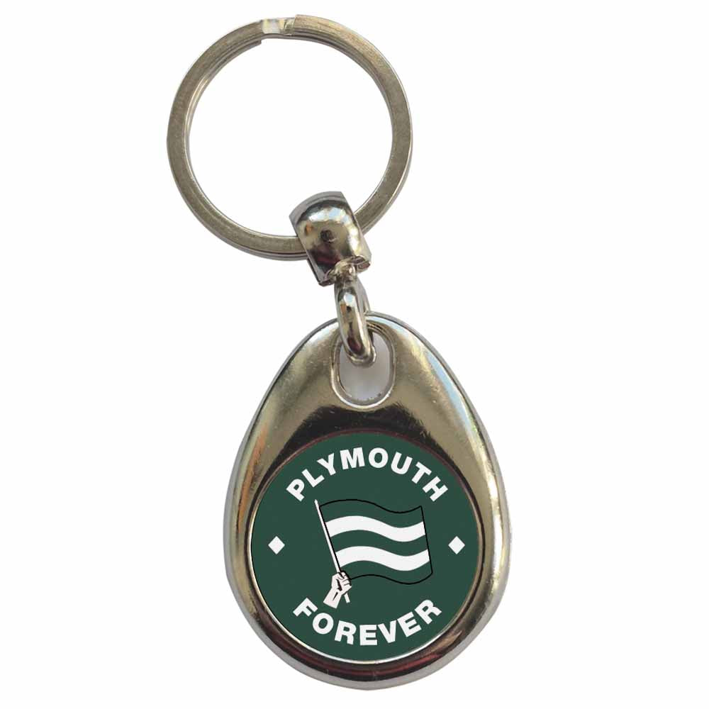 An image of a plain metal keyring
