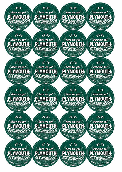 A picture of an A4 sheet of matte paper stickers