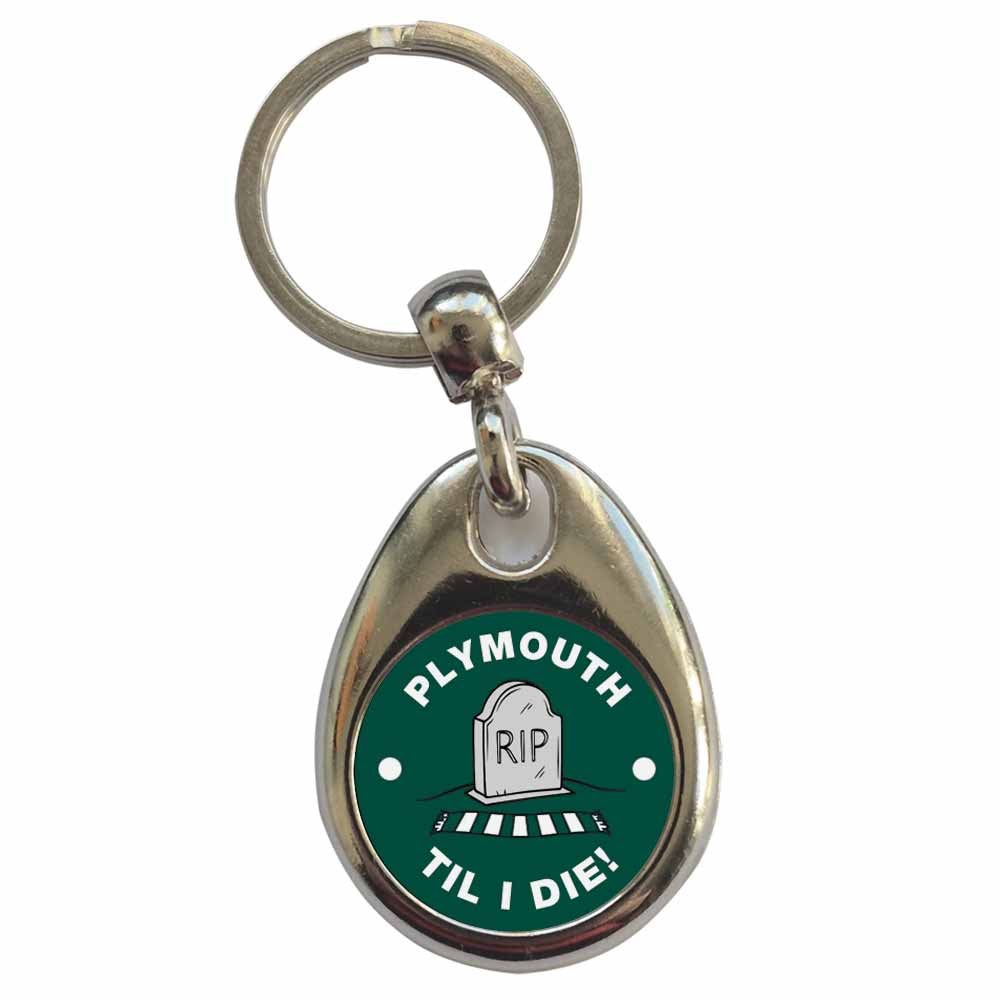 An image of a plain metal keyring