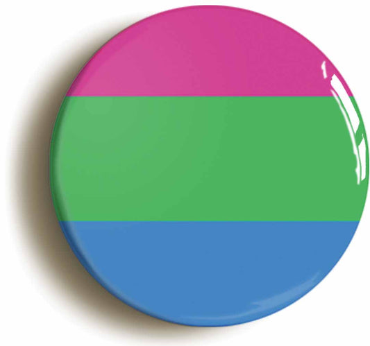 A picture of the front of the product, titled Polysexual Flag LGBTQ Pride Button Pin Badge