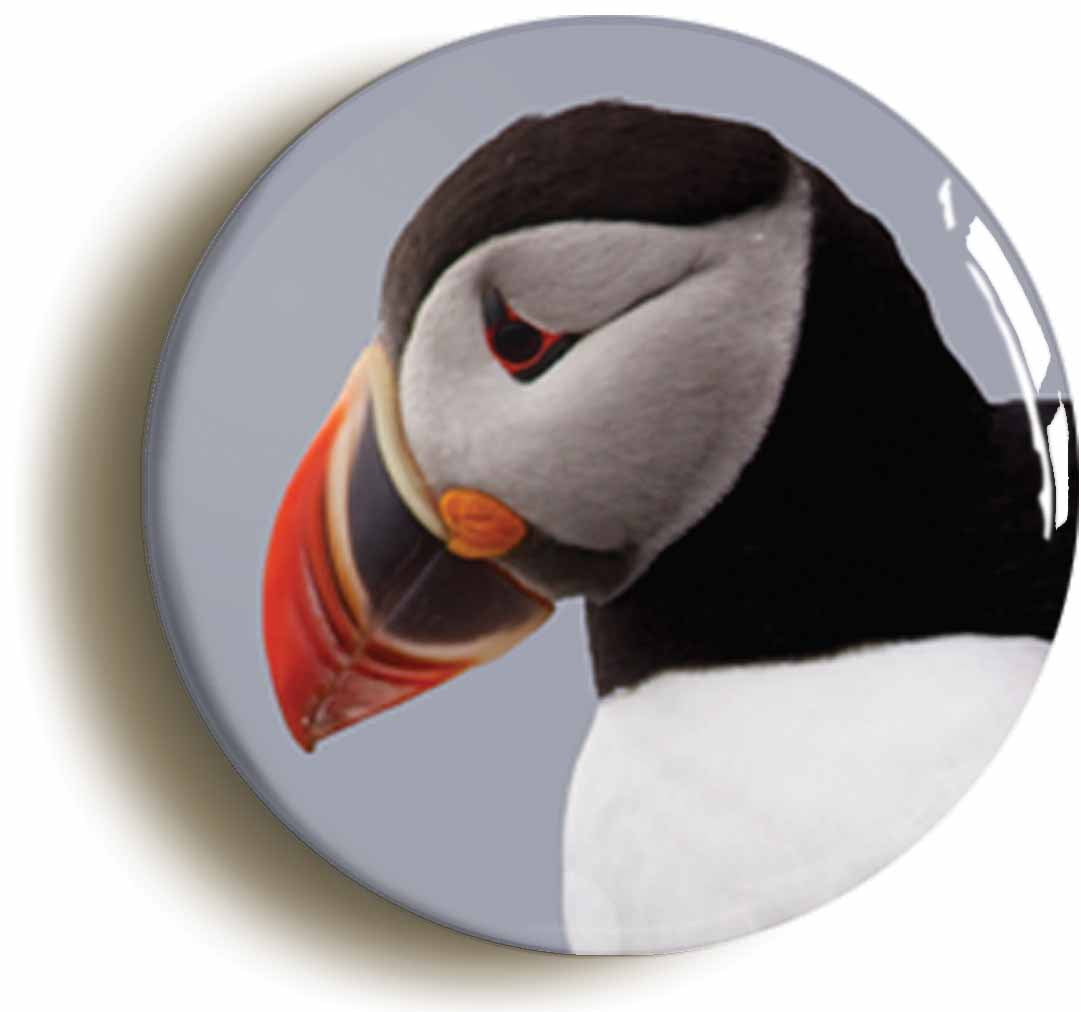 A picture of the front of the product, titled Puffin Button Pin Badge