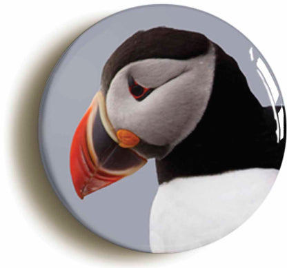 A picture of a button badge