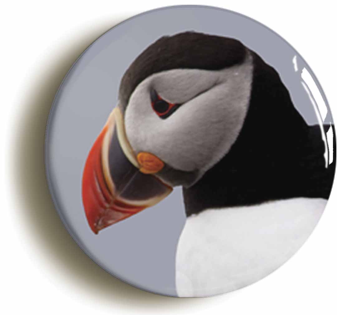 A picture of a fridge magnet