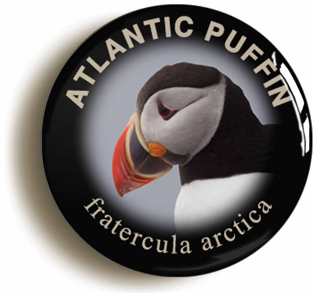 A picture of the front of the product, titled Atlantic Puffin Fratercula Arctica Bird Watching Button Pin Badge