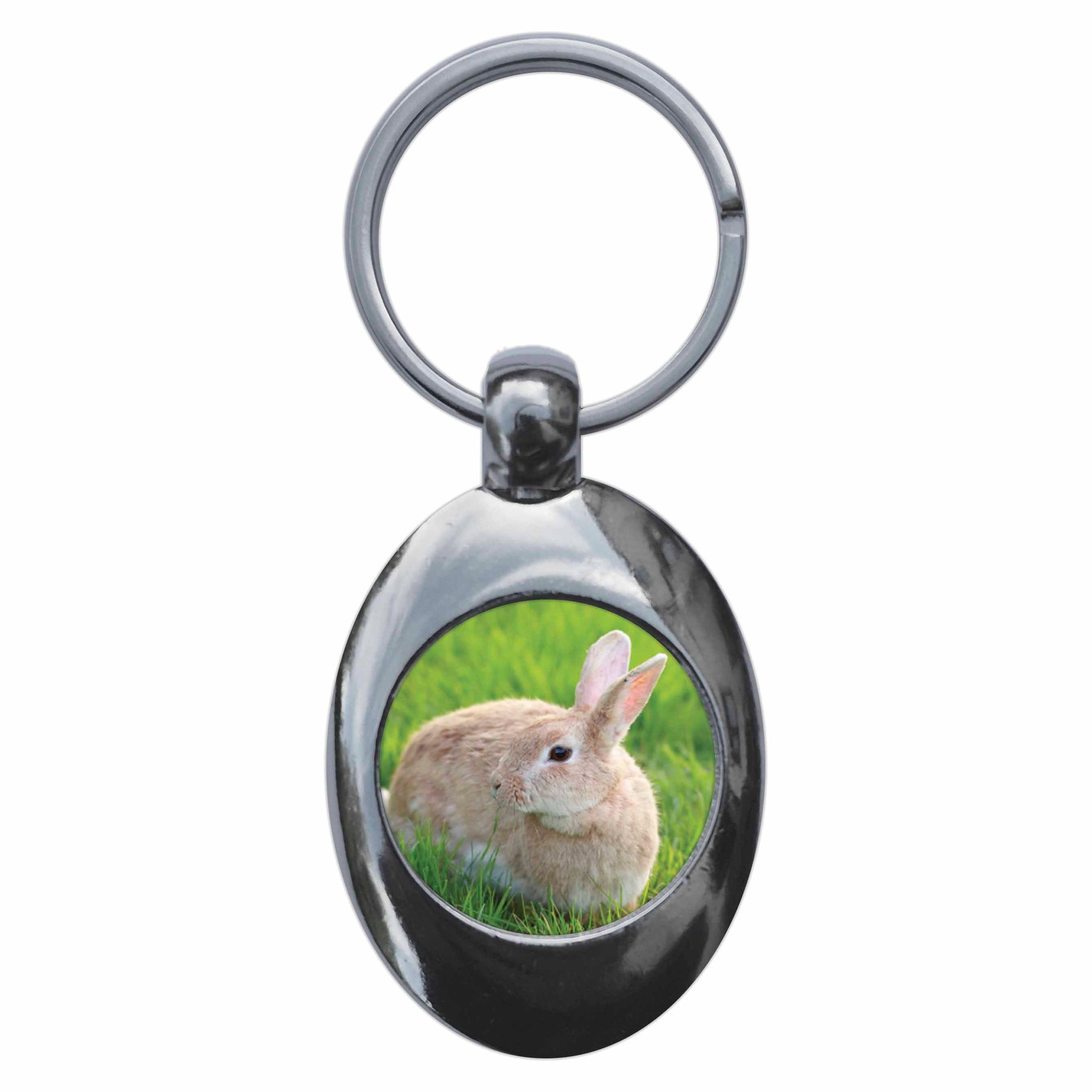 An image of a keyring