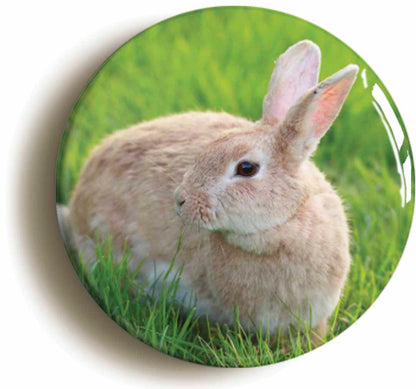 A picture of a button badge