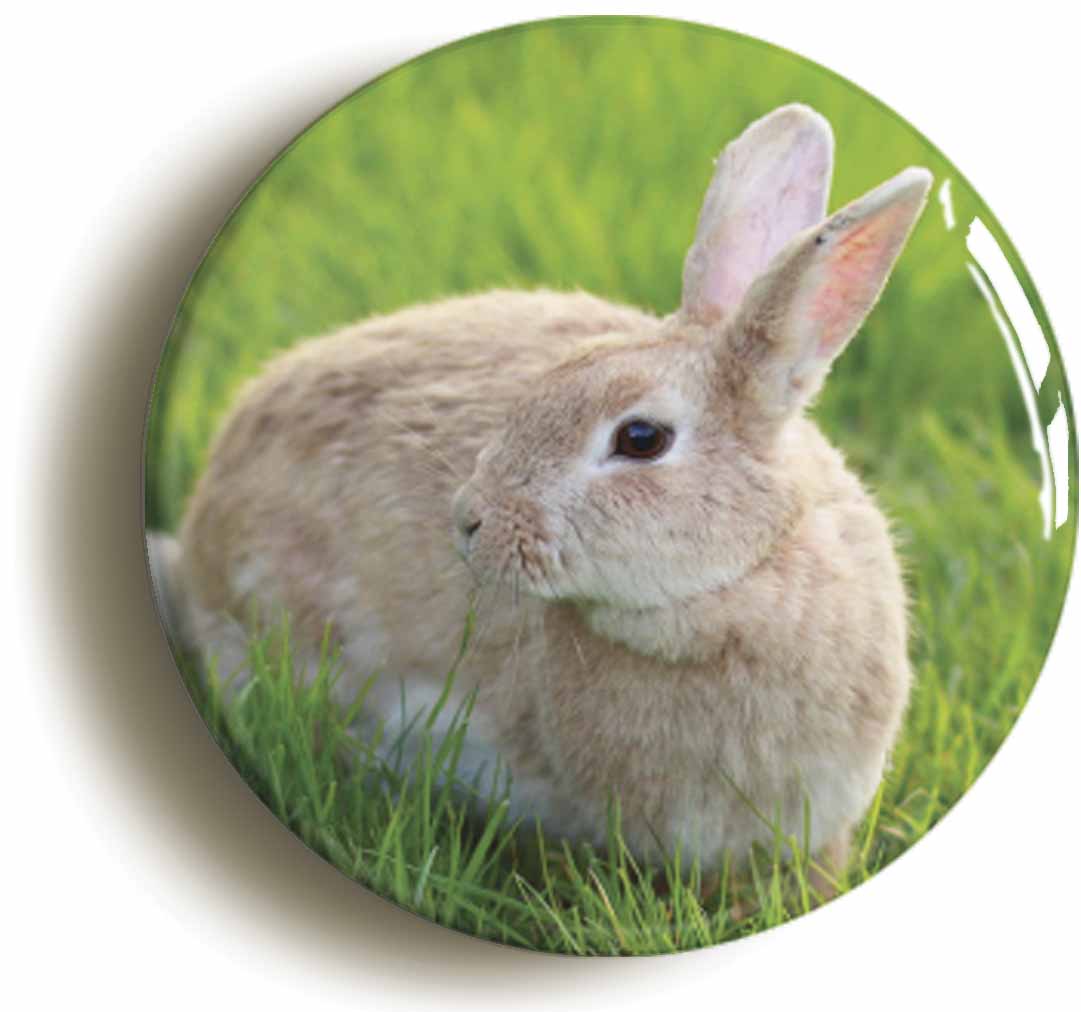 A picture of a fridge magnet